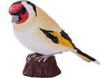 Mojo - European Goldfinch 2025
