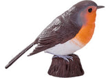 Mojo - Robin 2025