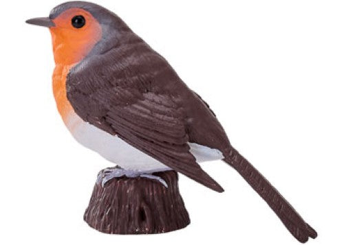 Mojo - Robin 2025