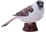 Mojo - House Sparrow 2025