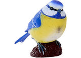 Mojo - Blue Tit 2025
