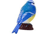 Mojo - Blue Tit 2025