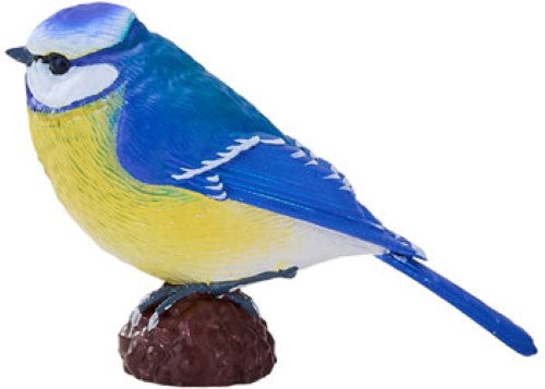 Mojo - Blue Tit 2025