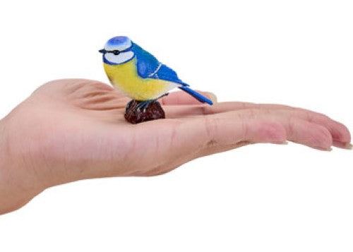 Mojo - Blue Tit 2025