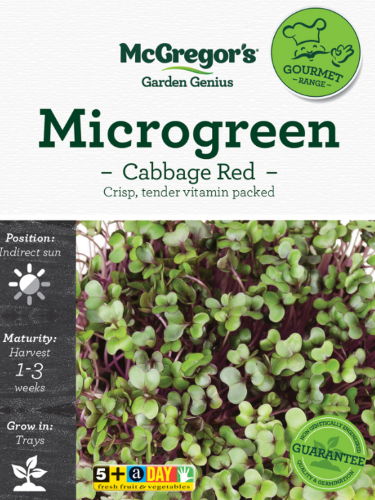 McGregor's Microgreen Red Cabbage Specialty Seed Packet