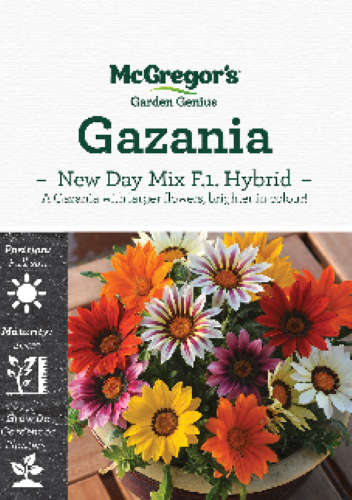 McGregor's Gazania New Day Mix F1 Hybrid Specialty Seed Packet