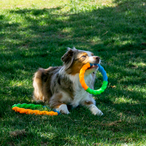Dog Toy - KONG AirDog Squeaker Balls XS (3pk)
