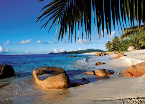 Ravensburger Under the Palm Trees Puzzle 1000 Pieces