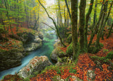 Puzzle - Heye - Otto; Magic Forests, Little Brook 1000pc
