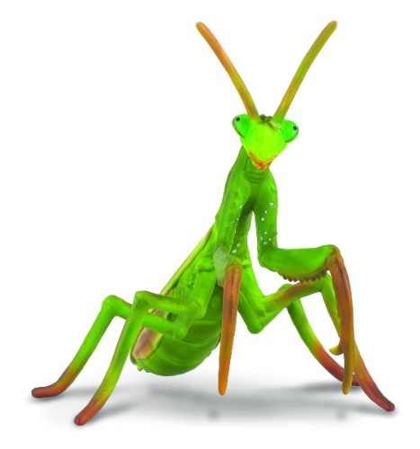 Large CollectA praying mantis figurine, intricately crafted, measuring 10.4cm x 9.5cm, perfect for collectors and insect lovers.