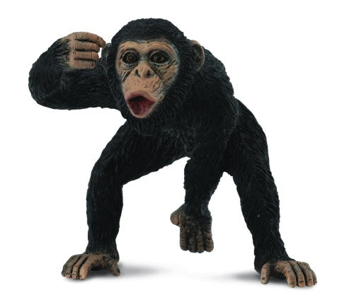 Lifelike Chimpanzee Male Figurine by CollectA, 6cm x 5.5cm, perfect for collectors and wildlife enthusiasts.