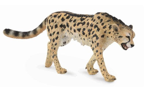 Large King Cheetah figurine by Collecta, featuring intricate details and a unique coat pattern, perfect for decor and education.