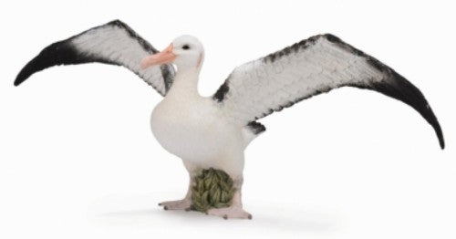 Lifelike large Wandering Albatross figurine by Collecta, showcasing intricate details and perfect for wildlife collectors.