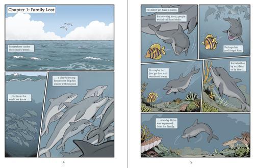 Moko to the Rescue: Heroic Dolphin of New Zealand Children's Non-Fiction Book