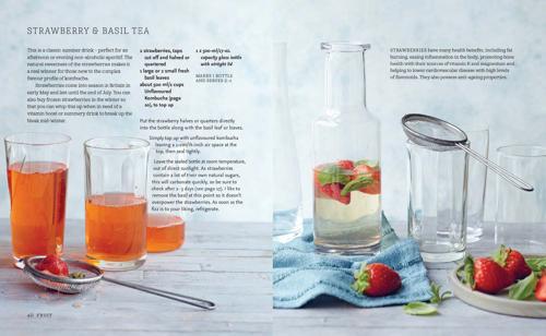 Kombucha Kombucha Recipe Guide