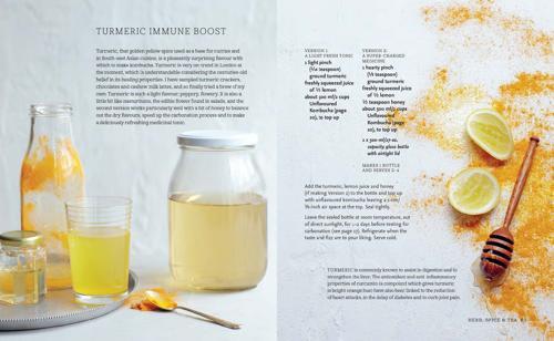Kombucha Kombucha Recipe Guide