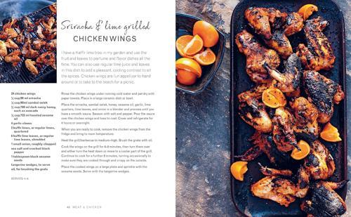 Summer Feasting from the Fire Cookbook