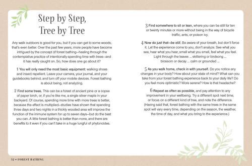 Mindful Walking Mindfulness Book