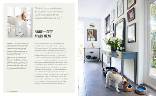 Cool Dogs, Cool Homes Interior Design Book
