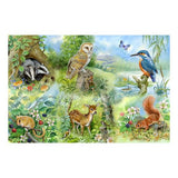 Nature Study - Big 250 Piece Puzzle - House of Puzzles