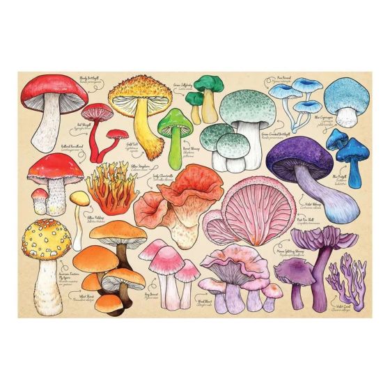 Mushroom Mania - 1000 Piece Puzzle - House of Puzzles