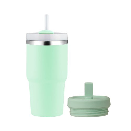 Smoothie Tumbler w/ Two Lids - AVANTI HydroQuech 550ml (Mint)