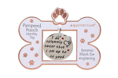 Engravable Pooch ID Tag - Equilibrium Up to No Good