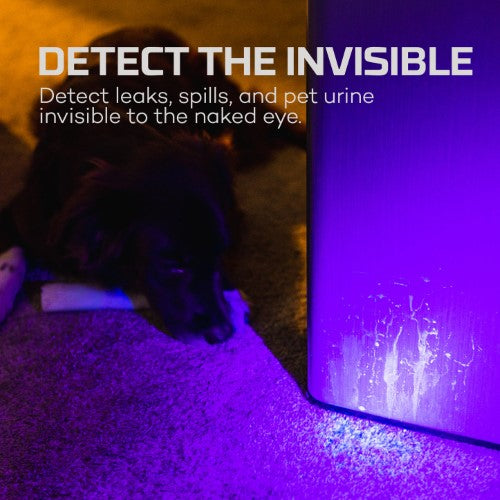 UVV & Blacklight Flashlight - NEBO Torchy