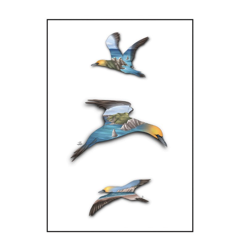 Sophie Blokker Greetings Card - Art Deco Gannets at Cape Kidnapper's