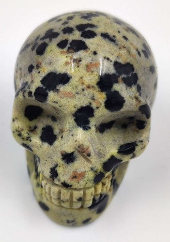 Figurine - Gemstone Skull  Dalmatian Jasper Large (4cm)