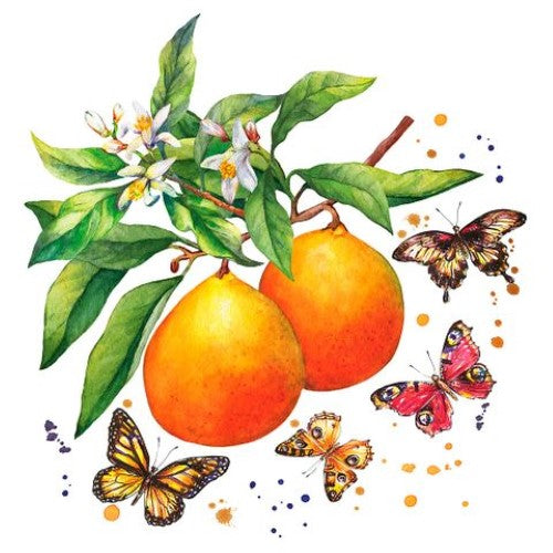 Cocktail Napkin -Fruity Butterflies