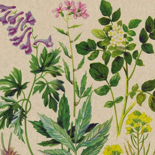 Luncheon Napkin - Naturals Botanical Pattern