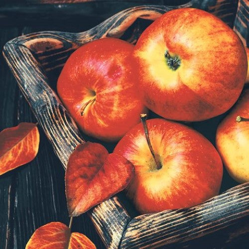 Luncheon Napkin - Apple Time