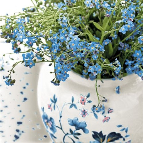 Cocktail Napkin - Forget Me Not (New)