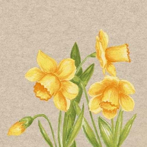 Cocktail Napkin - Daffodil