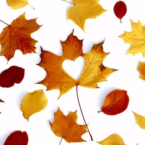 Luncheon Napkin - Autumn Love