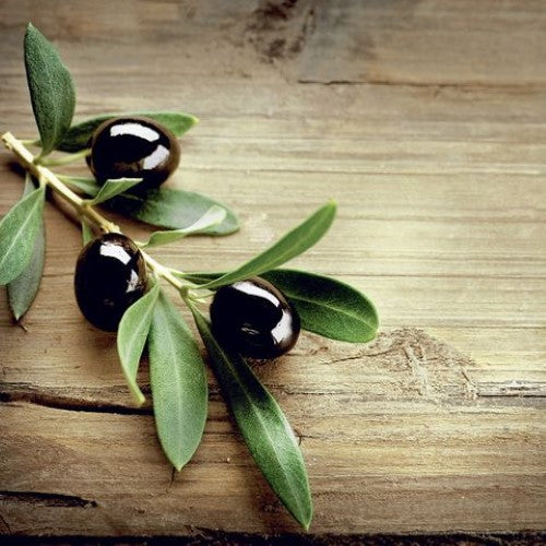 Luncheon Napkin - Olives In A Wood