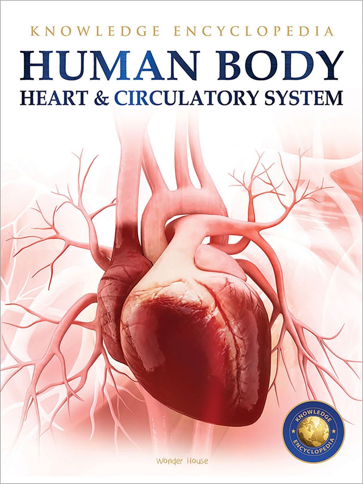 Human Body - Heart And Circulatory System