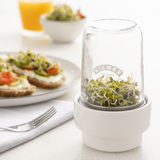 Kilner 500ml Sprouting Set for home-grown nutritious sprouts with glass jar, ceramic base, and stainless steel insert.