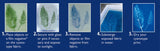 CYANOTYPE PRETREATED - JACQUARD FAB SHT 8.5X11INCH (PK10)