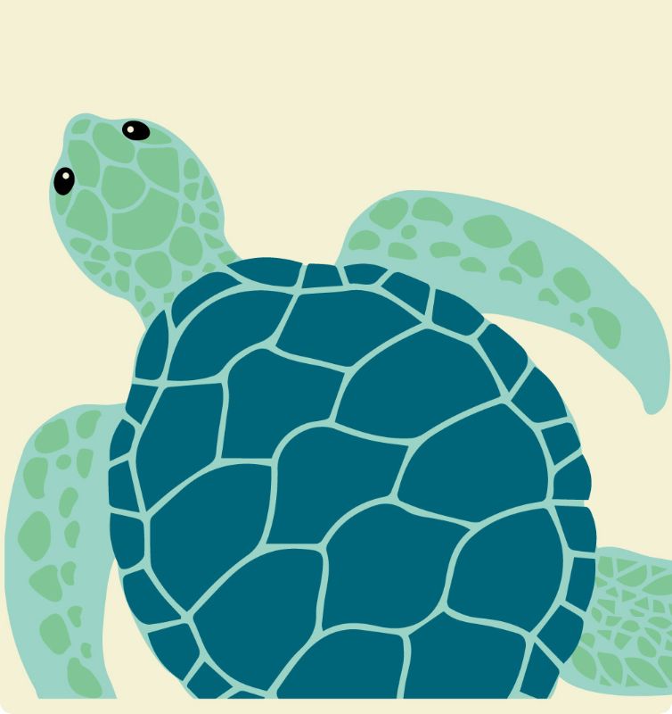 Beeswax Sandwich Pouch - Karlstert Turtle (Set of 2)