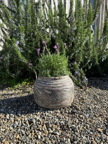 Weathered Black Sumatra Laili Garden Pot 31 x 21cm