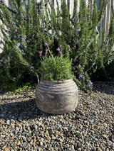 Weathered Black Sumatra Laili Garden Pot 31 x 21cm
