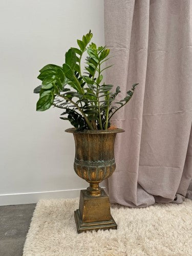 Aged Iron French Urn Decorative Vase 65cm