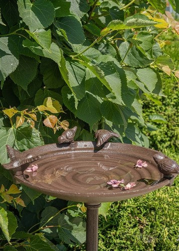 Cast Iron Bird Bath on Foot Medium
