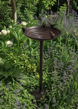 Cast Iron Bird Bath on Foot Medium