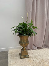 Aged Iron French Urn Decorative Vase 56cm