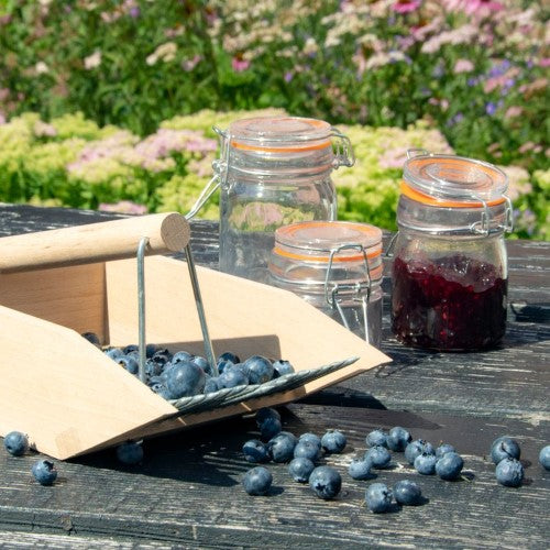 Wooden Berry Picker Harvesting Tool 14 x 22 x 11cm