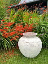 Terracotta Lombok Sophia Pot Whitewashed Large 50 x 50 x 55cm