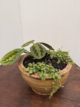 Ceramic Claude Decorative Bowl Small Ochre 27 x 15cm